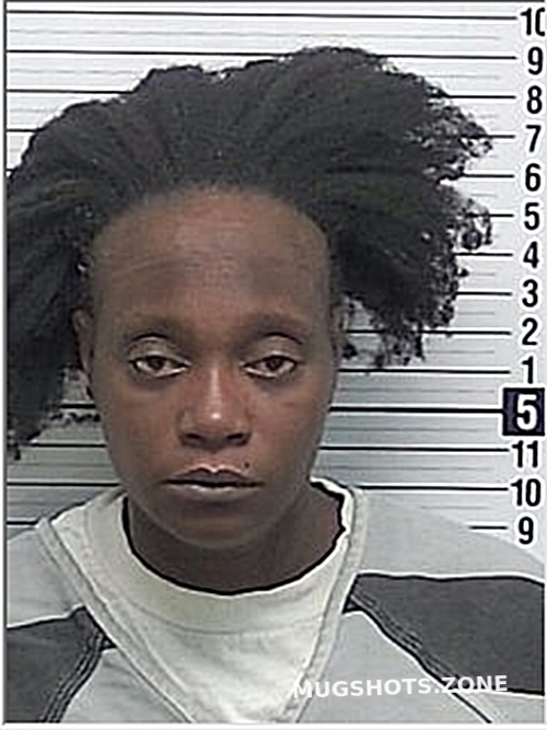 PEOPLES SHARON M 01/29/2025 Bay County Mugshots Zone