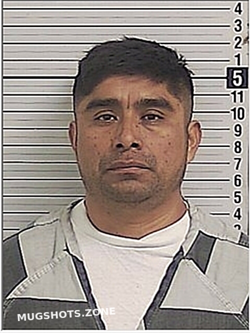 JIMENEZMENDEZ ALONSO 02/03/2025 Bay County Mugshots Zone