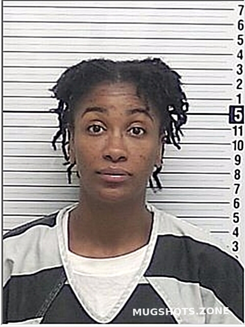 RUSS NIGERIA TASHARI 02/05/2025 - Bay County Mugshots Zone