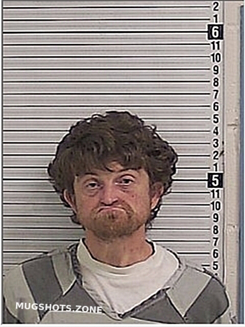 DAVIS STEVEN RAY 11/30/2025 - Bay County Mugshots Zone