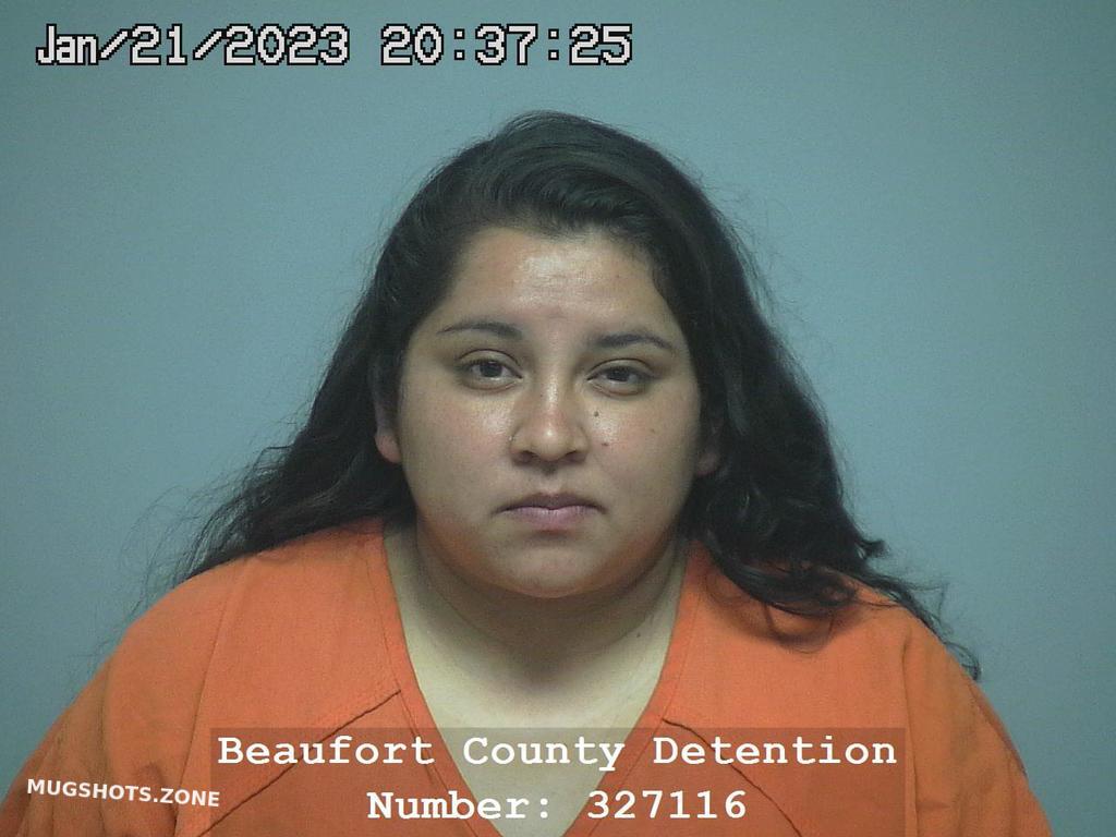 Maydel Torres 01 21 2023 Beaufort County Mugshots Zone