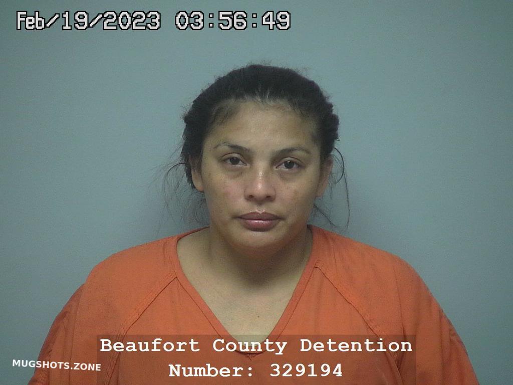 Ana Dalila Mena Hernandez 02192023 Beaufort County Mugshots Zone 8619