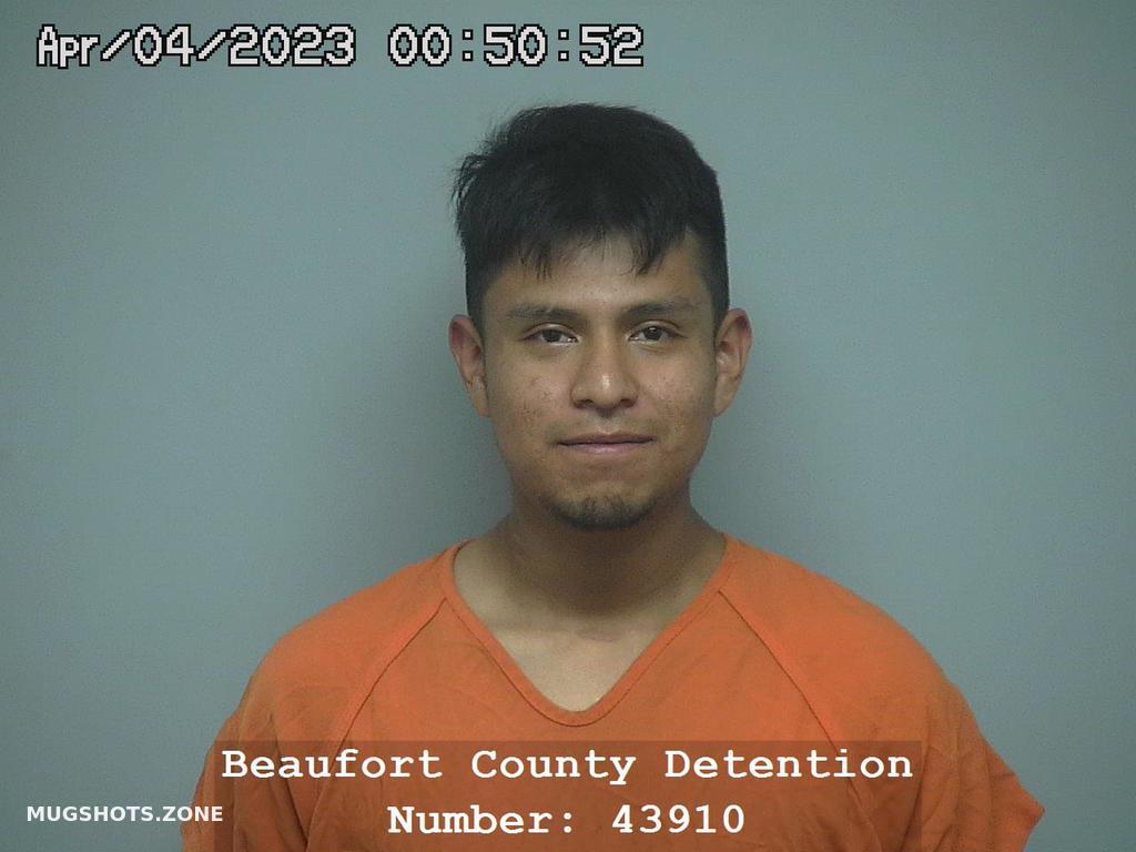 ALEX MANUEL HERNANDEZHERNANDEZ 04/04/2023 Beaufort County Mugshots Zone