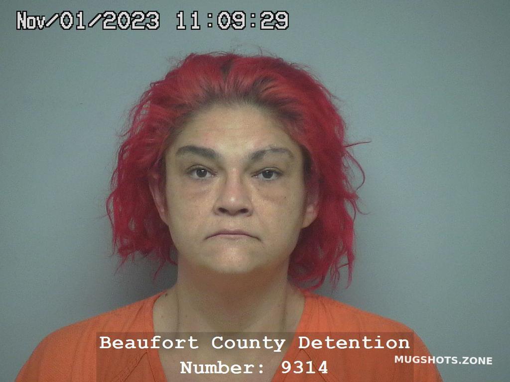 SHANNAN MARIE DAPIRAN 11 01 2023 Beaufort County Mugshots Zone shannan-marie-dapiran-11-01-2023-beaufort-county-mugshots-zone
