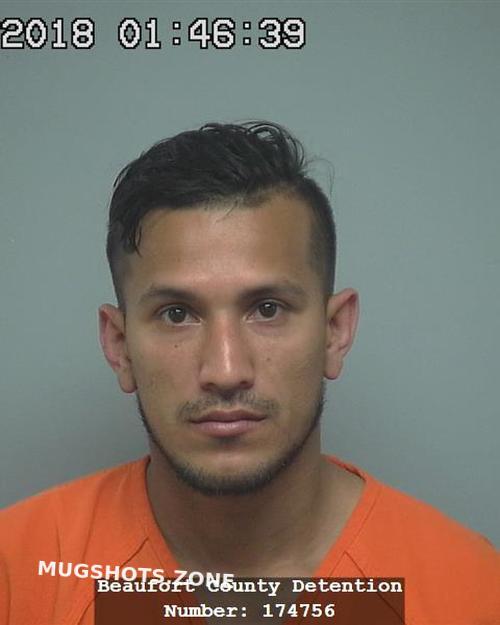 NOEL ENRIQUE MEJIA REYES 07/14/2024 - Beaufort County Mugshots Zone