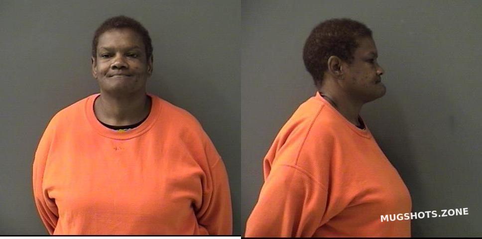 LOKEN MINNIE MAE 10/27/2022 - Bell County Mugshots Zone