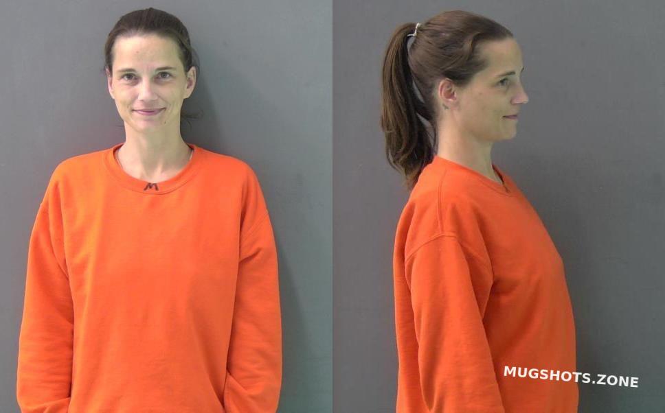 SCHNEIDER BRANDY JO 11/05/2022 Bell County Mugshots Zone