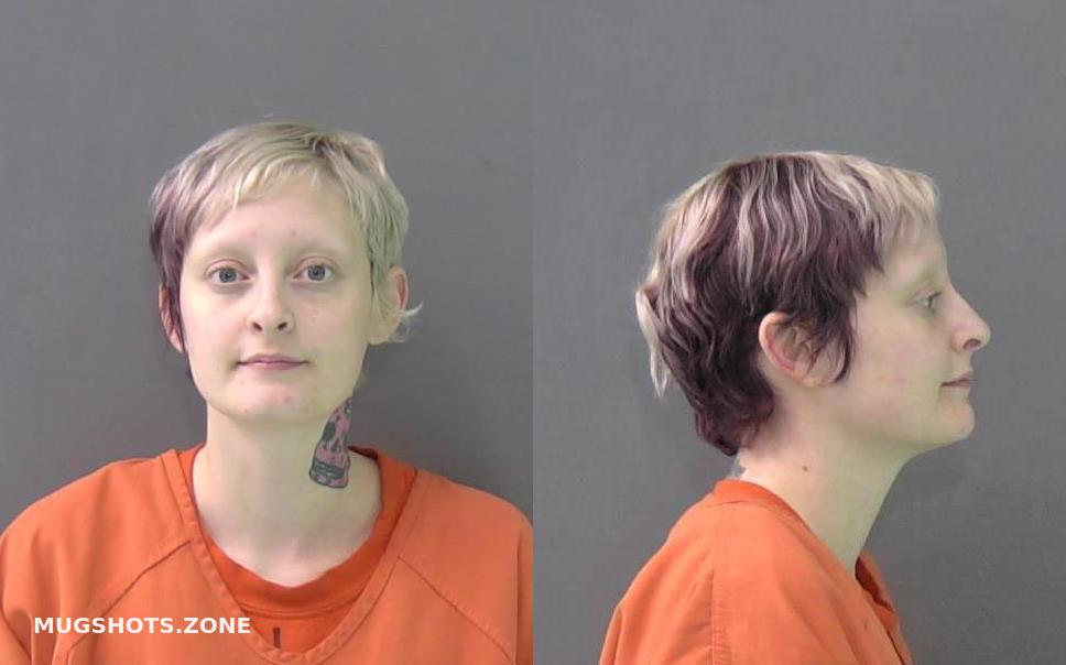 ELMORE EMILY ANN 03/17/2023 - Bell County Mugshots Zone