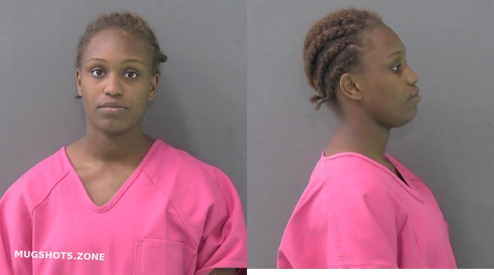 DAVIS AALIYAH NICOLE 03/20/2023 - Bell County Mugshots Zone