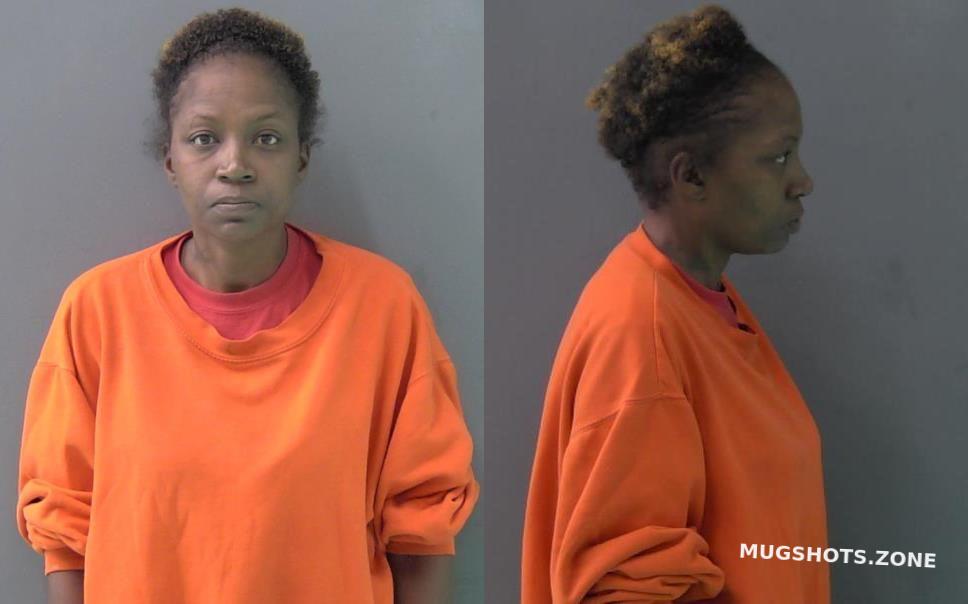 MCWILLIAMS DANYIEL ANNETTIA 05/23/2023 - Bell County Mugshots Zone