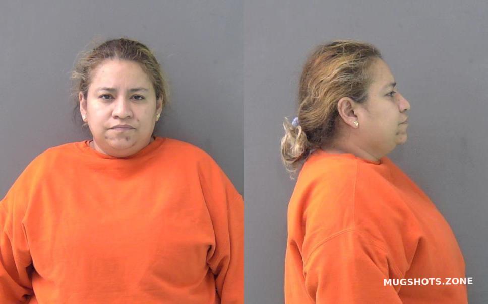 SILVA DOMINGUEZ ERIKA 06/28/2023 - Bell County Mugshots Zone