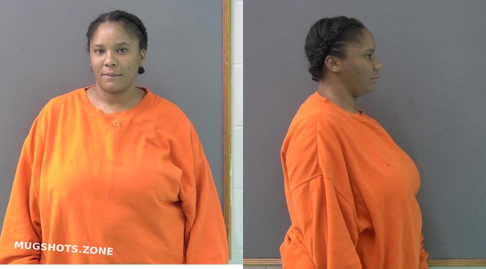 HOPWOOD RENEE MICHELLE 11/13/2023 Bell County Mugshots Zone