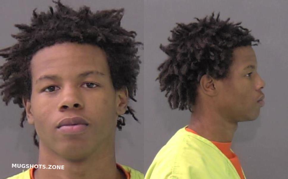 GREEN LAVON 11/29/2023 Bell County Mugshots Zone