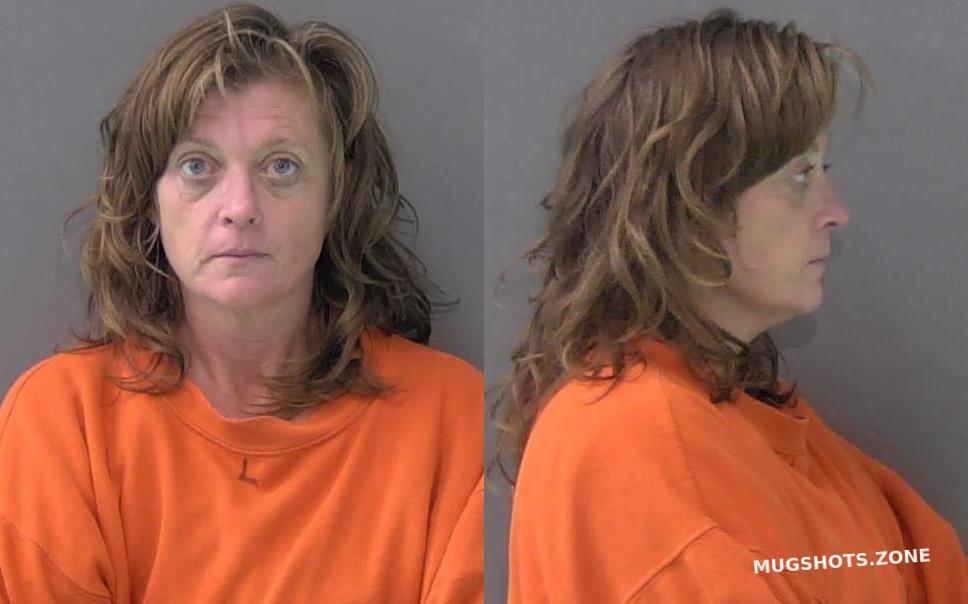 Downes Mistie Lynn 01032024 Bell County Mugshots Zone