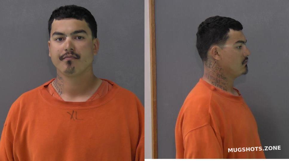 HINOJOSA ROLANDO 03/11/2024 - Bell County Mugshots Zone