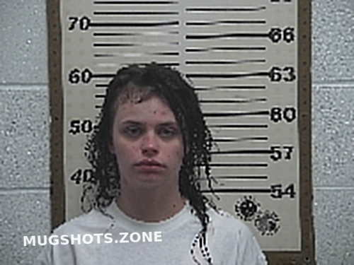 Schramm Cortney Lynn 05042023 Belmont County Mugshots Zone 