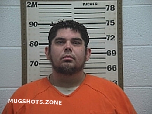 Ujvary Steven John 02152024 Belmont County Mugshots Zone 