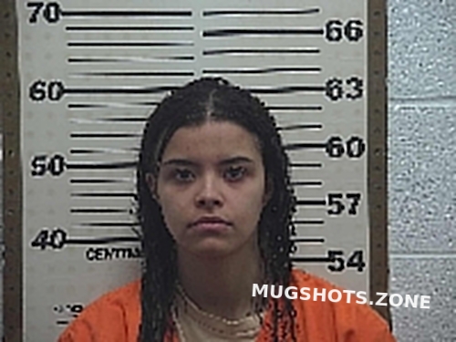 RYAN JESSICA RENEE 03/07/2024 - Belmont County Mugshots Zone