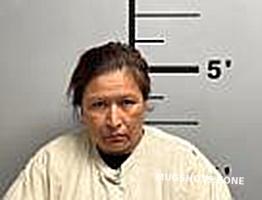 BLOSSOM VANESSA L 04/28/2024 - Benton County Mugshots Zone