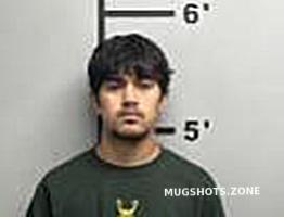 SANCHEZ-ROSAS CINTHIA 10/10/2024 - Benton County Mugshots Zone