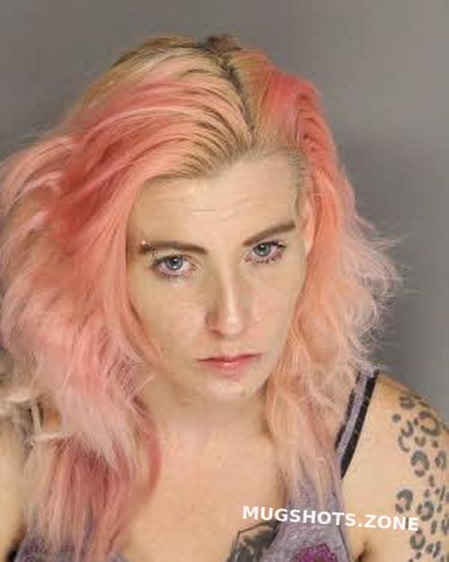 FARLESS BRANDY MARIE 11/11/2022 Berkeley County Mugshots Zone