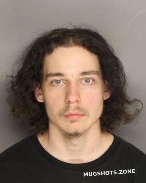 RHONEY WILLIAM DAVID 02/24/2023 Berkeley County Mugshots Zone