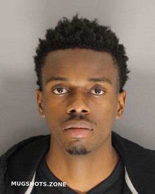 BROWN CAMRON DEMANI 03/10/2023 - Berkeley County Mugshots Zone