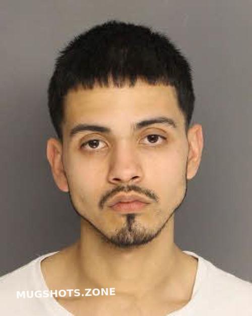 DOROTEO LUIS M 03/10/2023 Berkeley County Mugshots Zone