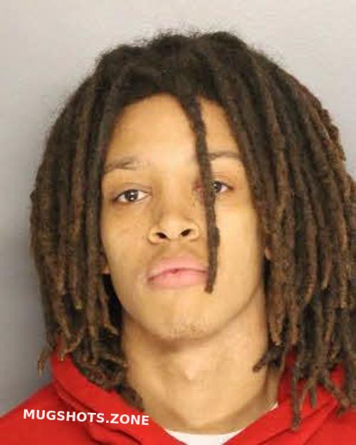 REED DWAYNE ALFONSO 04/09/2023 Berkeley County Mugshots Zone