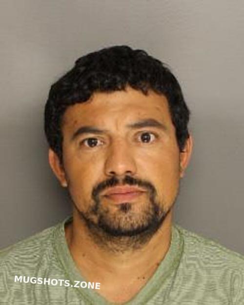 TINAJEROBAEZO MARIO ALBERTO 04/17/2023 Berkeley County Mugshots Zone