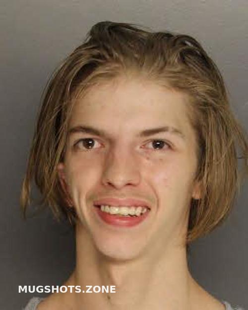 LANE KYLE DAVID 06/15/2023 Berkeley County Mugshots Zone