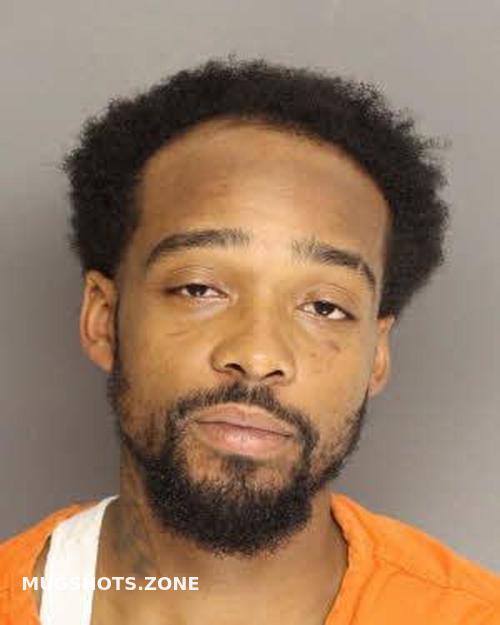 LAWSON JAMES DOUGLAS 08/01/2023 Berkeley County Mugshots Zone