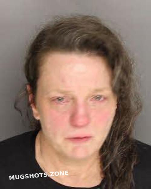 FERGUSON TERESA DIANE ADAMS 08/05/2023 Berkeley County Mugshots Zone