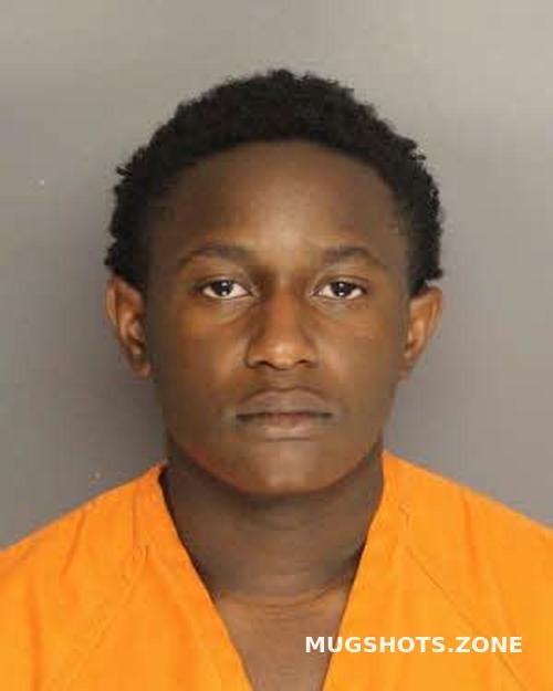 DIXON CAMERON MARTIN 03/23/2024 Berkeley County Mugshots Zone