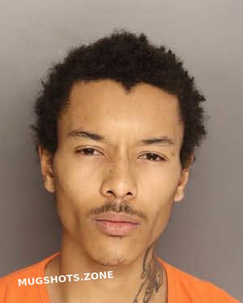 RUSH JORDAN CHRISTOPHER 04/11/2024 - Berkeley County Mugshots Zone