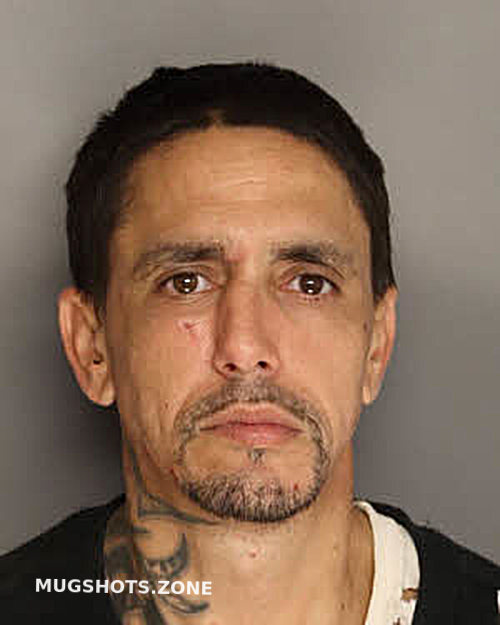 TRUESDALE JAMES NORADIN 01/17/2025 Berkeley County Mugshots Zone