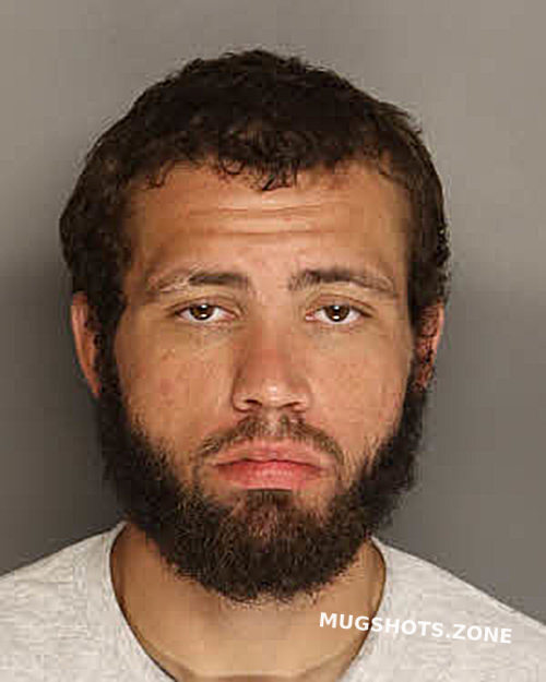 EAGERTON KENDALL AUSTIN 06/21/2025 - Berkeley County Mugshots Zone