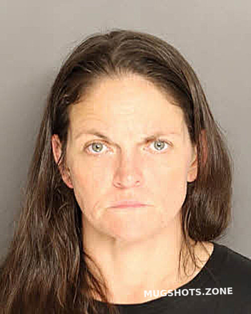 WILLIS AMY LOU 06/24/2025 - Berkeley County Mugshots Zone