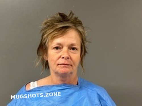 REGINA HEATHERINGTON 06/02/2023 - Blount County Mugshots Zone