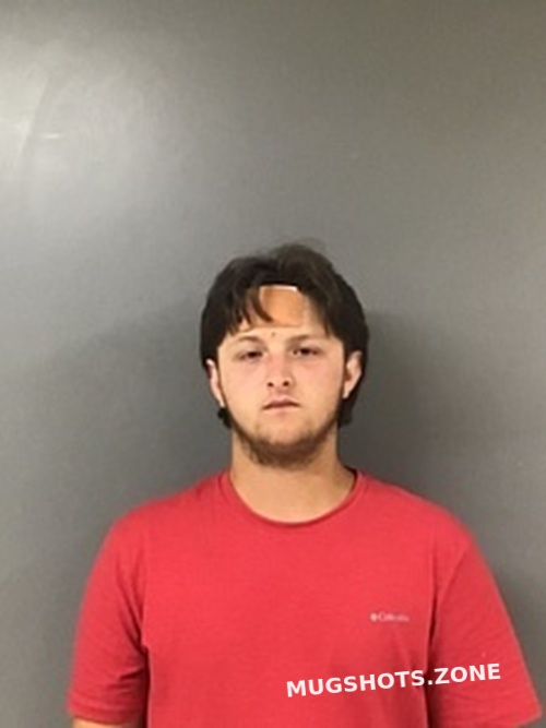 Ian Phillips 07 08 2023 Blount County Mugshots Zone