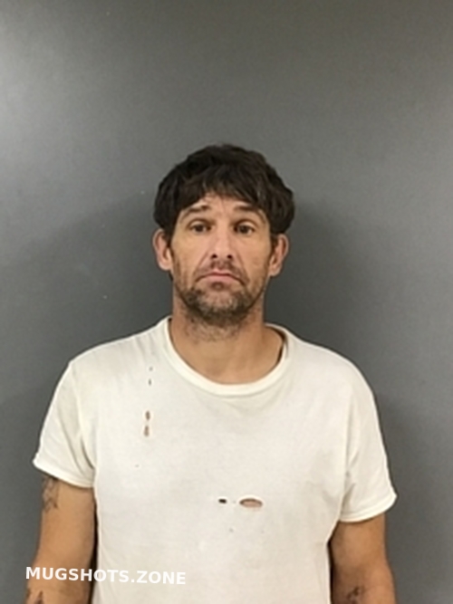 SHANNON KING 08/08/2023 Blount County Mugshots Zone