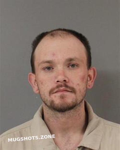 TYLER 01/29/2025 Blount County Mugshots Zone