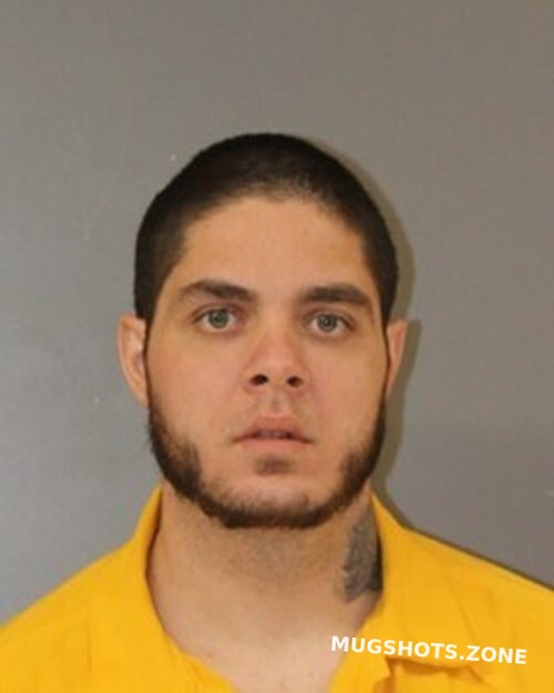 DILLON HALLMAN 03/24/2025 Blount County Mugshots Zone