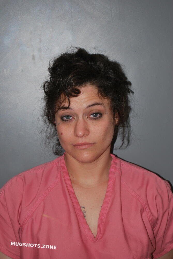 RENE ROGERS 04/02/2025 - Blount County Mugshots Zone