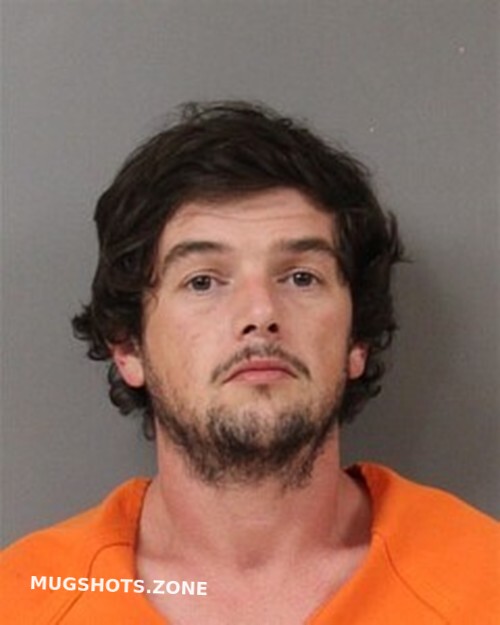 RICHARD ROBINSON 06/24/2025 Blount County Mugshots Zone