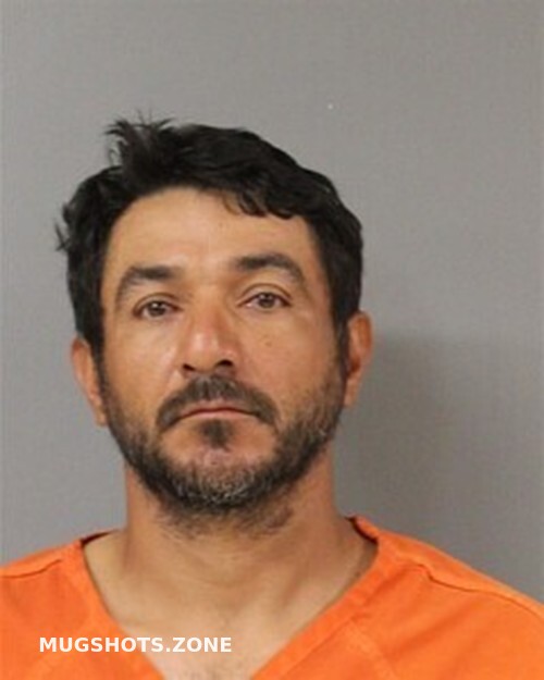 JUAN PICENO 10/05/2025 Blount County Mugshots Zone