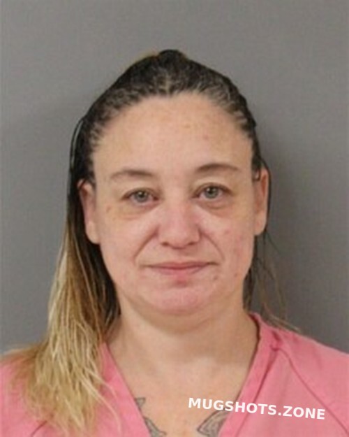 SUSAN WILLIAMS 11/11/2025 Blount County Mugshots Zone