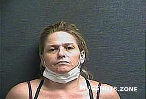 SEAL TERESA LYNN 07/02/2021 - Boone County Mugshots Zone