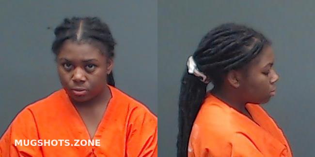 HORTON BREEANNA 11/13/2023 - Bowie County Mugshots Zone