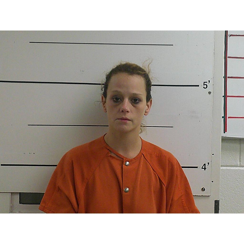 SARAH WALLS BETH 11/22/2021 Boyd County Mugshots Zone